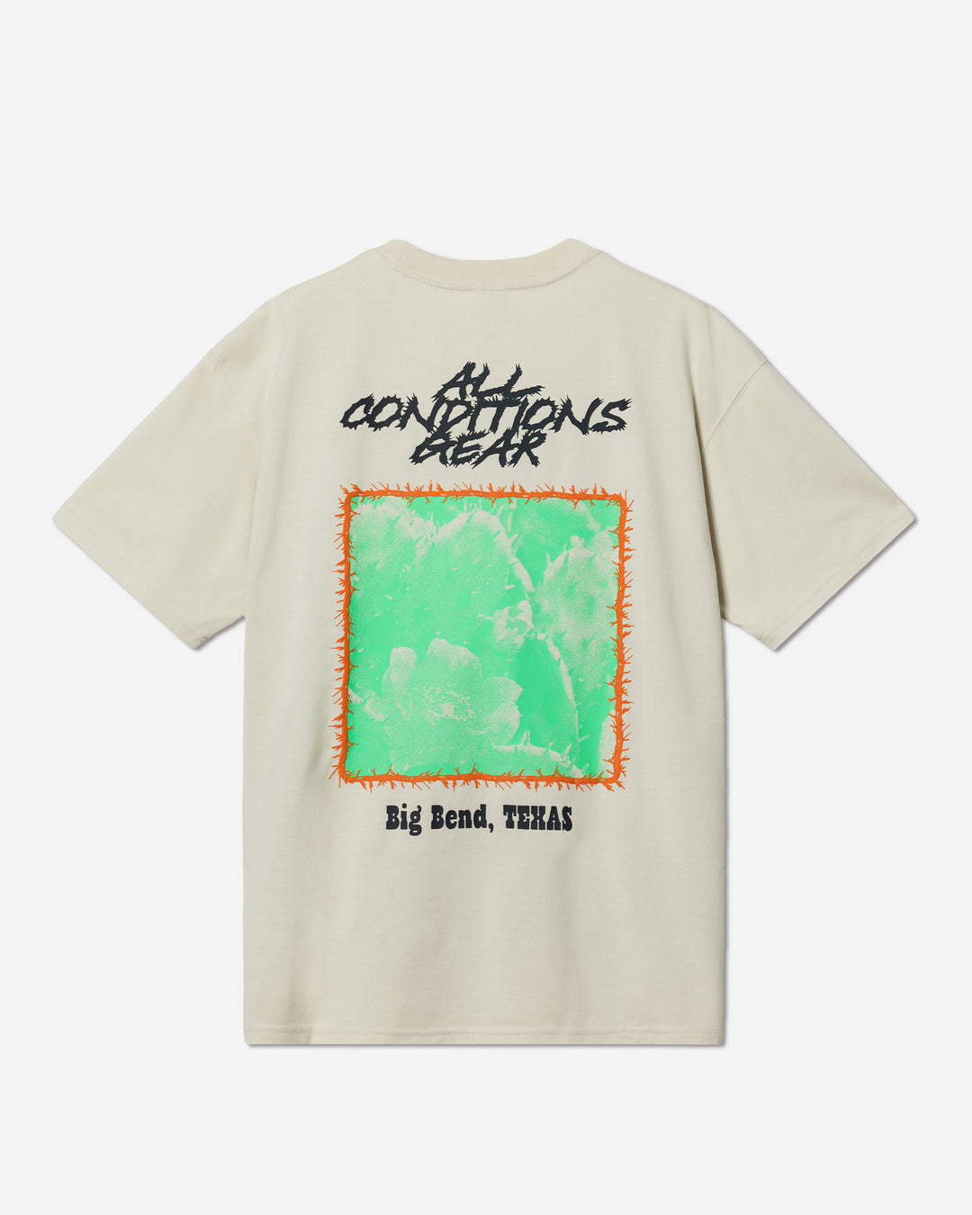 NIKE ACG OC CACTUS S/S TEE – A+S