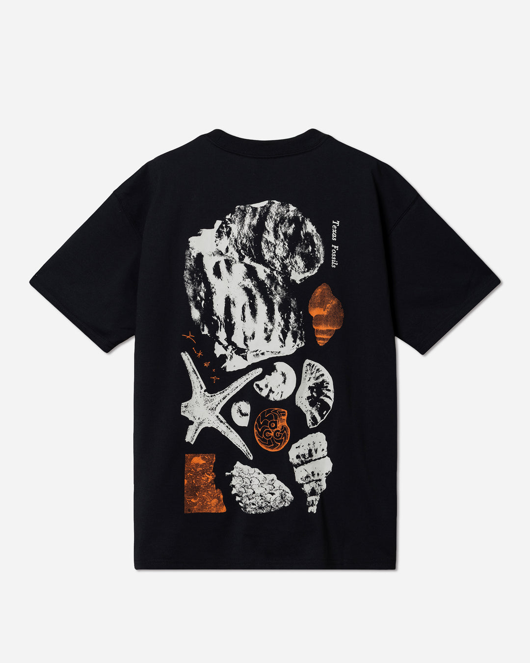 NIKE ACG OC FOSSILS S/S TEE – A+S