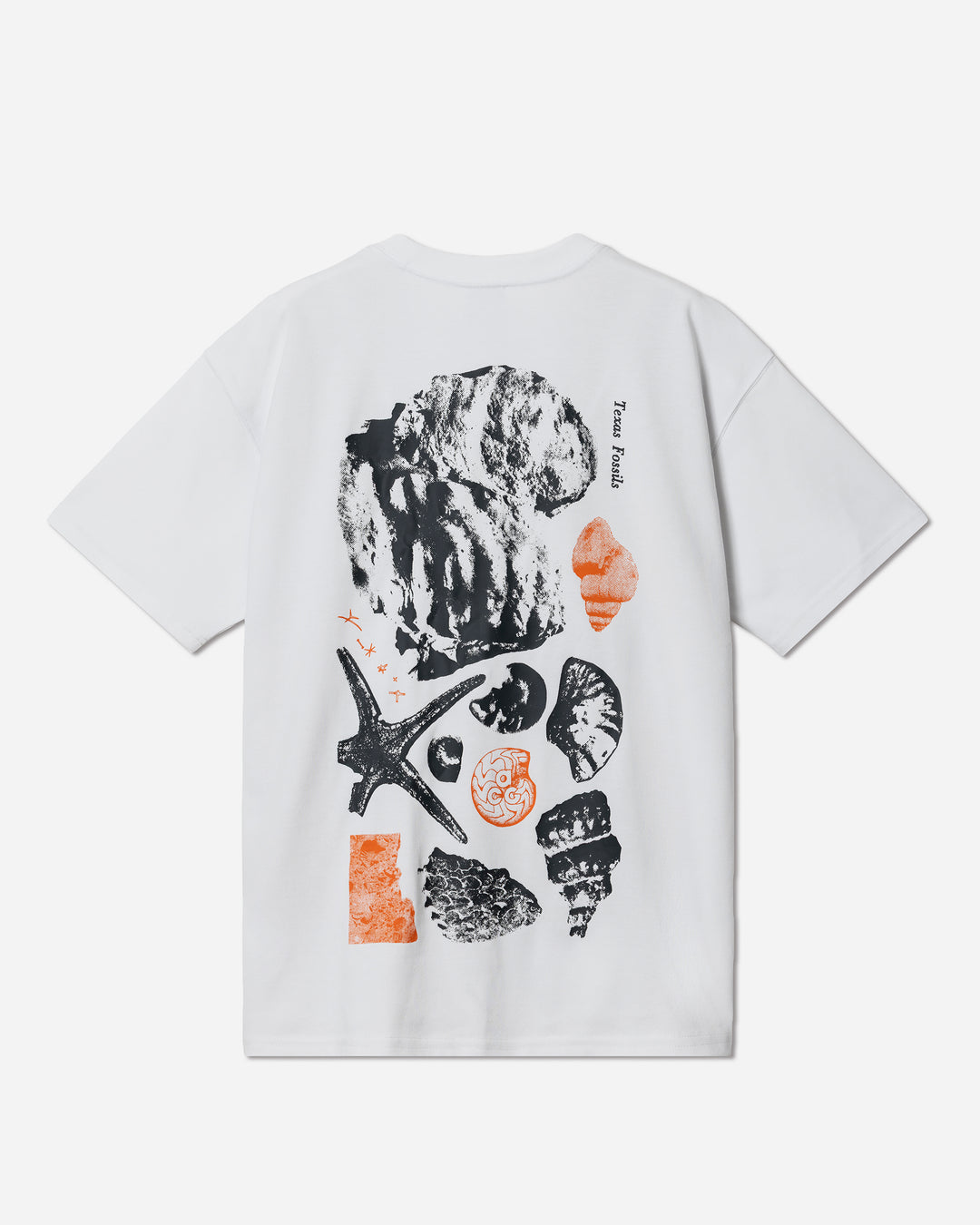 NIKE ACG OC FOSSILS S/S TEE – A+S
