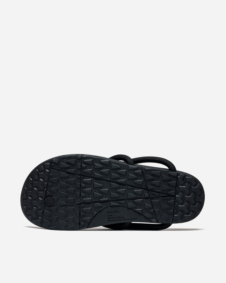 rig × nonnative BAHARINI – A+S