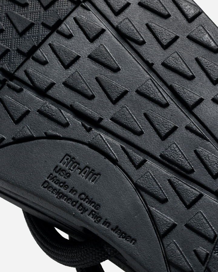 rig × nonnative BAHARINI – A+S