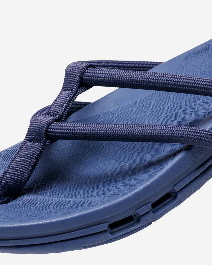 rig × nonnative BAHARINI – A+S
